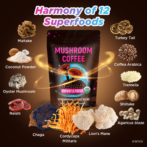 Mushroom Coffee | High-End